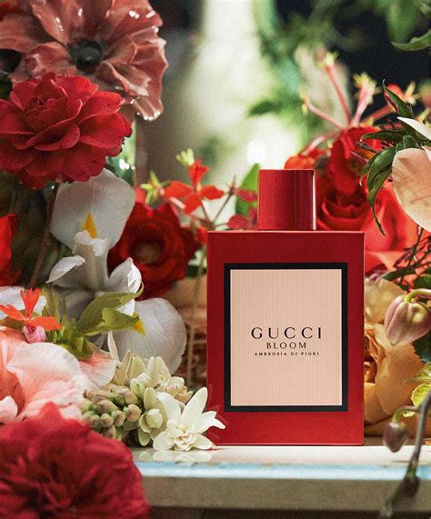 gucci bloom ambrosia perfume review|Gucci Bloom costco.